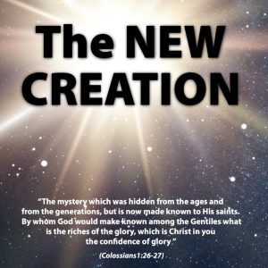 The New Creation book cover